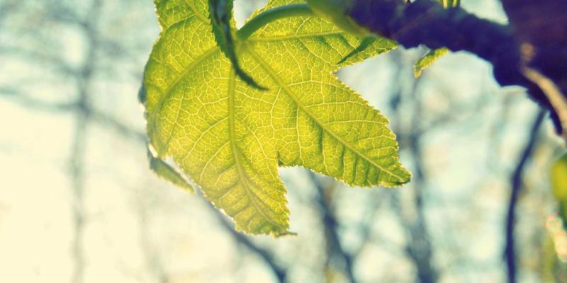 NOTE XA HSR引领未来交互革命：2024年最值得关注的科技资讯与数码产品风向标