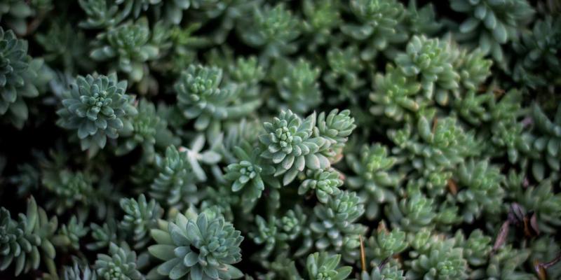 NOTE XA HSR深度解析:当智能硬件遇见人工智能,开启人机交互新纪元