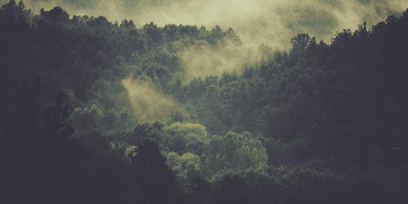 NOTE XA HSR深度解析:这款数码产品如何诠释科技创新的未来方向