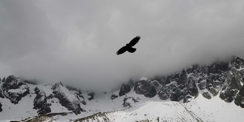 NOTE XA HSR深度解析：重新定义智能硬件的未来形态