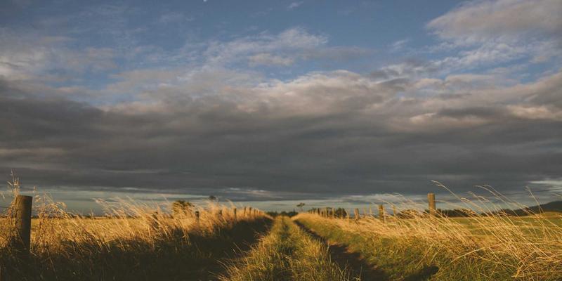 从手机评测到智能硬件：隐私计算如何用联邦学习与同态加密重塑科技数据安全