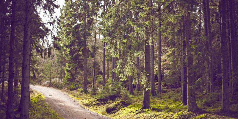 从手机评测到汽车之眼：人工智能如何重塑自动驾驶感知系统的技术路线之争