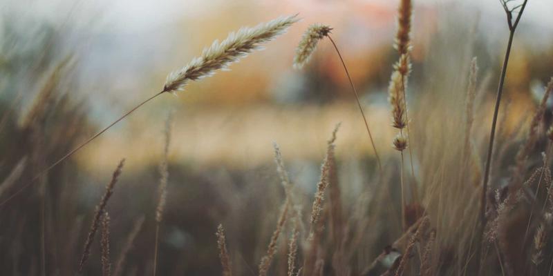 从笔记本电脑到行动大脑：多模态感知与AI大模型如何引爆具身智能机器人革命