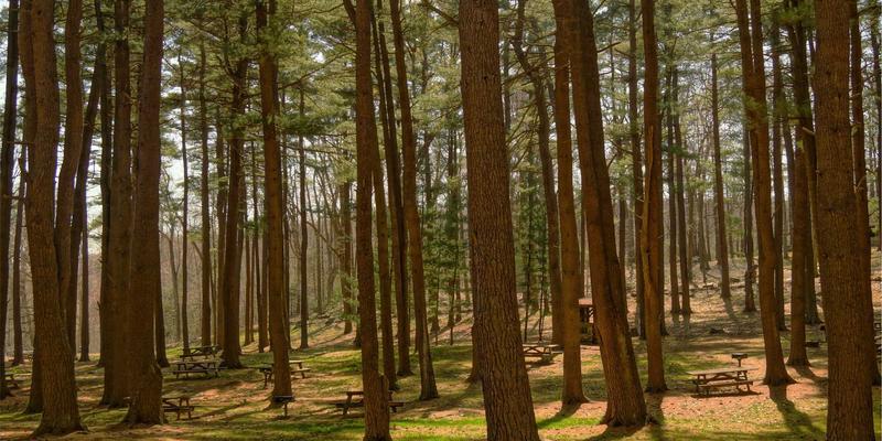 卫星互联网与5G融合：如何赋能智能硬件与笔记本电脑（以NOTE XA HSR为例）实现全球无缝连接