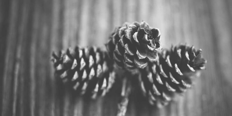 当AI for Science遇见智能硬件：人工智能如何重塑新材料与药物研发的数码革命