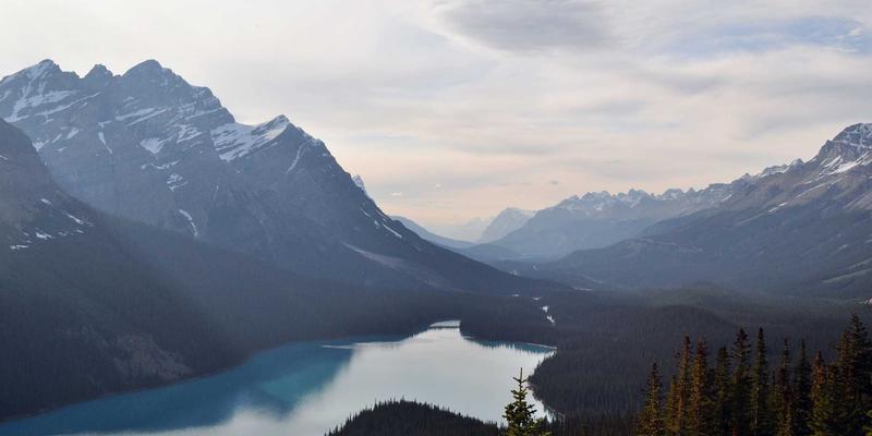 手机评测新纪元：AI如何重塑科技创新与用户体验