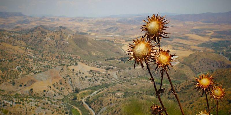 掌握三大科技资讯技巧:在人工智能与数码产品浪潮中精准捕捉创新脉搏
