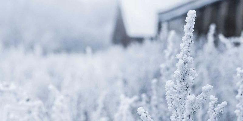 智能硬件安全进化论：从手机指纹到笔记本静脉识别，生物认证如何重塑设备体验