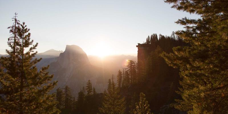 科技创新新前沿：脑机接口临床突破，从瘫痪康复到意识解码