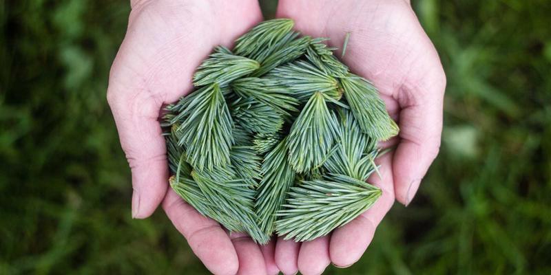 科技创新驱动笔记本电脑变革：从生产力工具到智慧生活枢纽