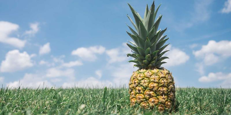 科技资讯48：笔记本电脑创新与手机评测新趋势深度解析