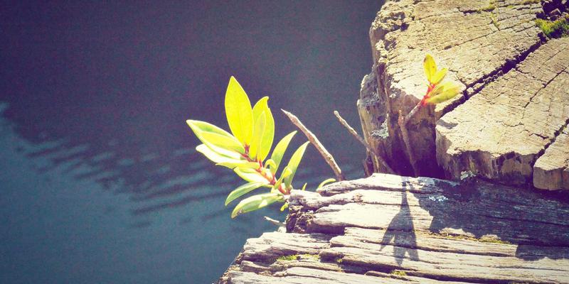 笔记本电脑进化论：数码产品如何驱动科技创新新浪潮