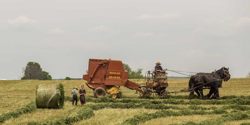 脑机接口新纪元：从意念控制到NOTE XA HSR手机评测，智能硬件如何重塑人机交互