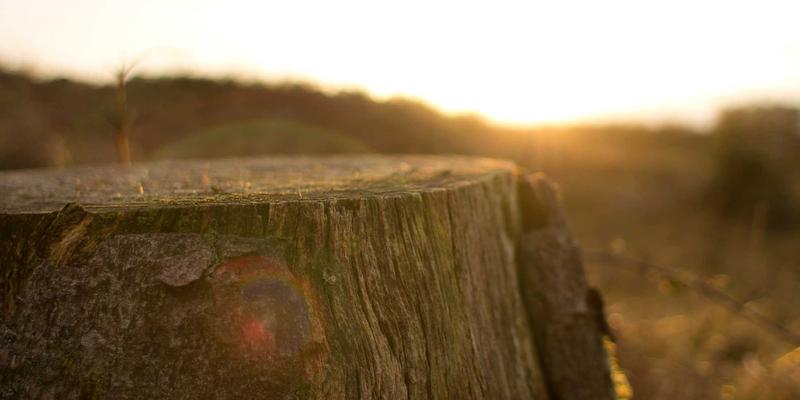 隐私计算技术深度盘点：如何在智能硬件与数据流通中保障安全合规